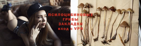 кристаллы Мегион