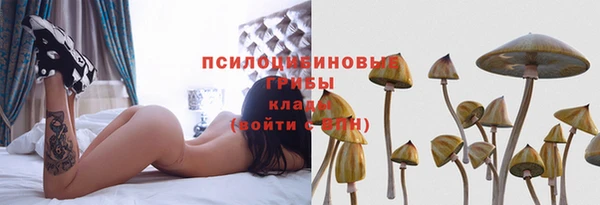 кристаллы Мегион