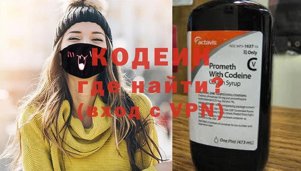 прущие грибы Пенза