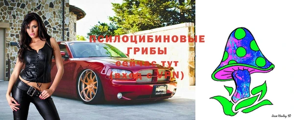 кристаллы Мегион