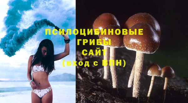 трава Медногорск