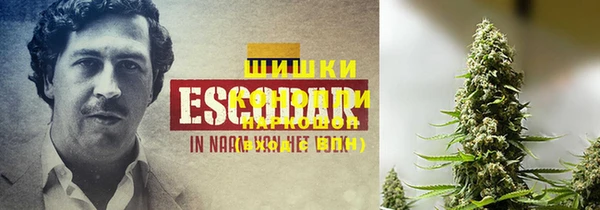 кристаллы Мегион