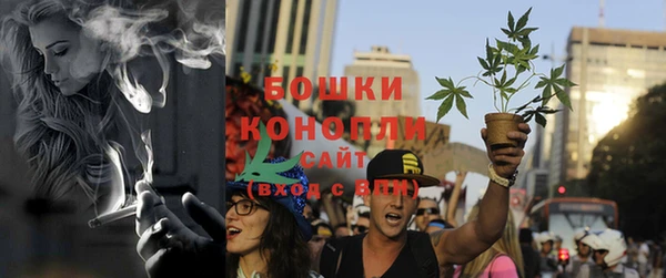 скорость Лиски