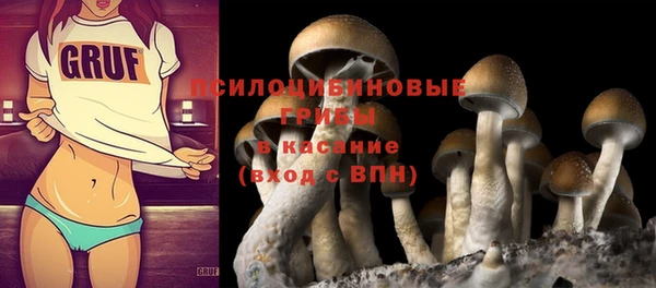 СК Липки