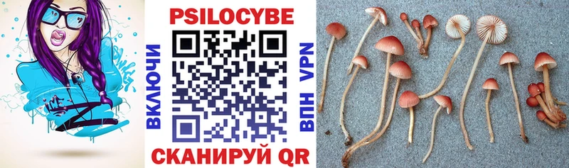 Псилоцибиновые грибы мухоморы  Купить  Дубовка 